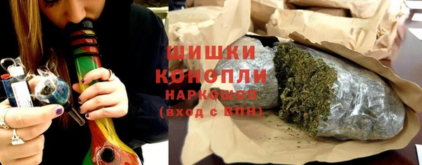 прущие грибы Балахна