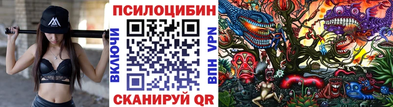 Галлюциногенные грибы Psilocybe Каспийск