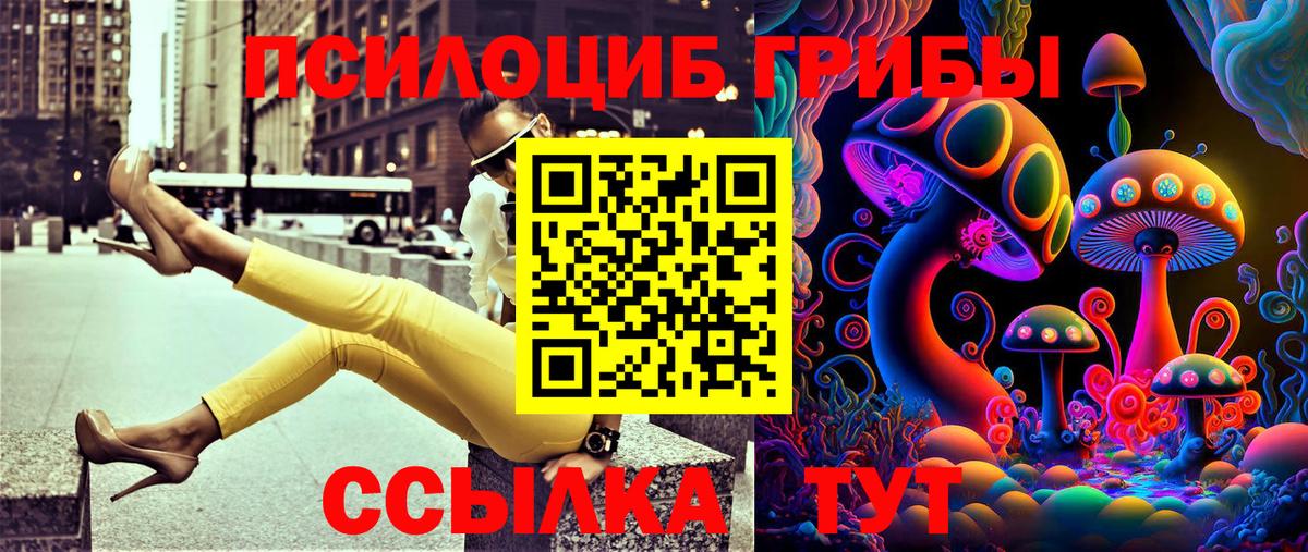 Каспийск  Галлюциногенные грибы мухоморы  Псилоцибиновые грибы Magic Shrooms  Вход с VPN 